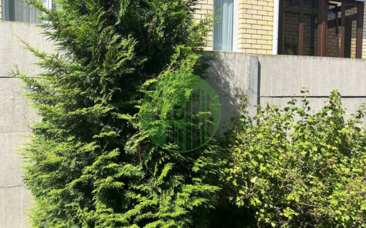 4k дом, 1118816449449e8720078994d1a559c7a78779403095d0655de504f423ab3c53