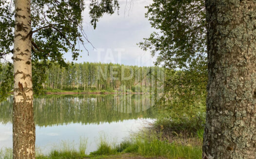 участок, eedd9fd5efe348d95fe3a8c92b7bb46d268fa195dd9ed2ef8edf20126b128935